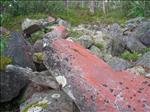 Sweden 2006-04 140